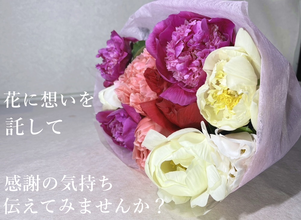 笑顔咲く高知県産幸せの芍薬切花