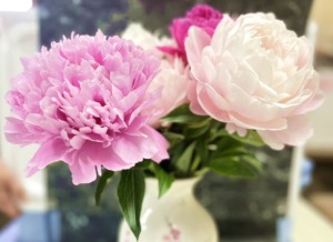 ピンクと白の芍薬切花を花瓶に生けています