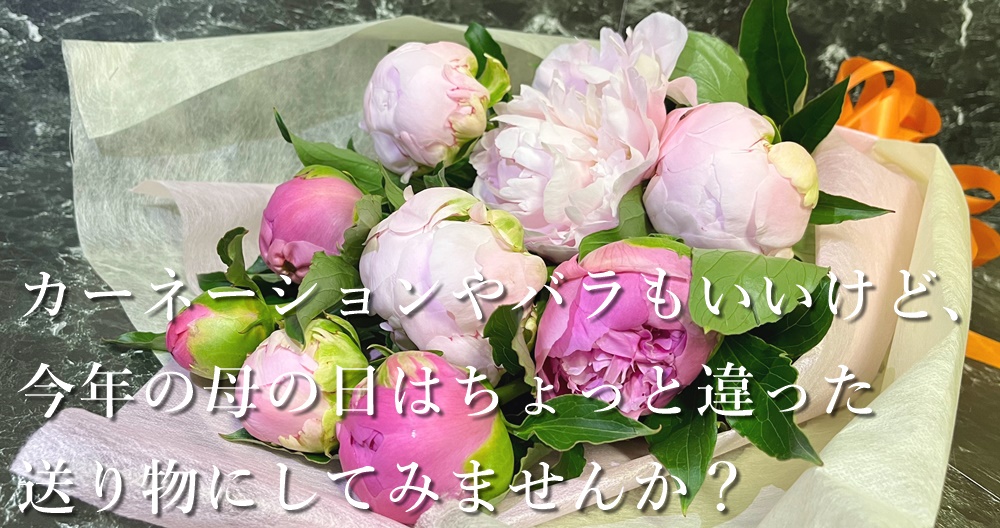 母の日の贈り物今年は一味違う芍薬切花を送ってみませんか？