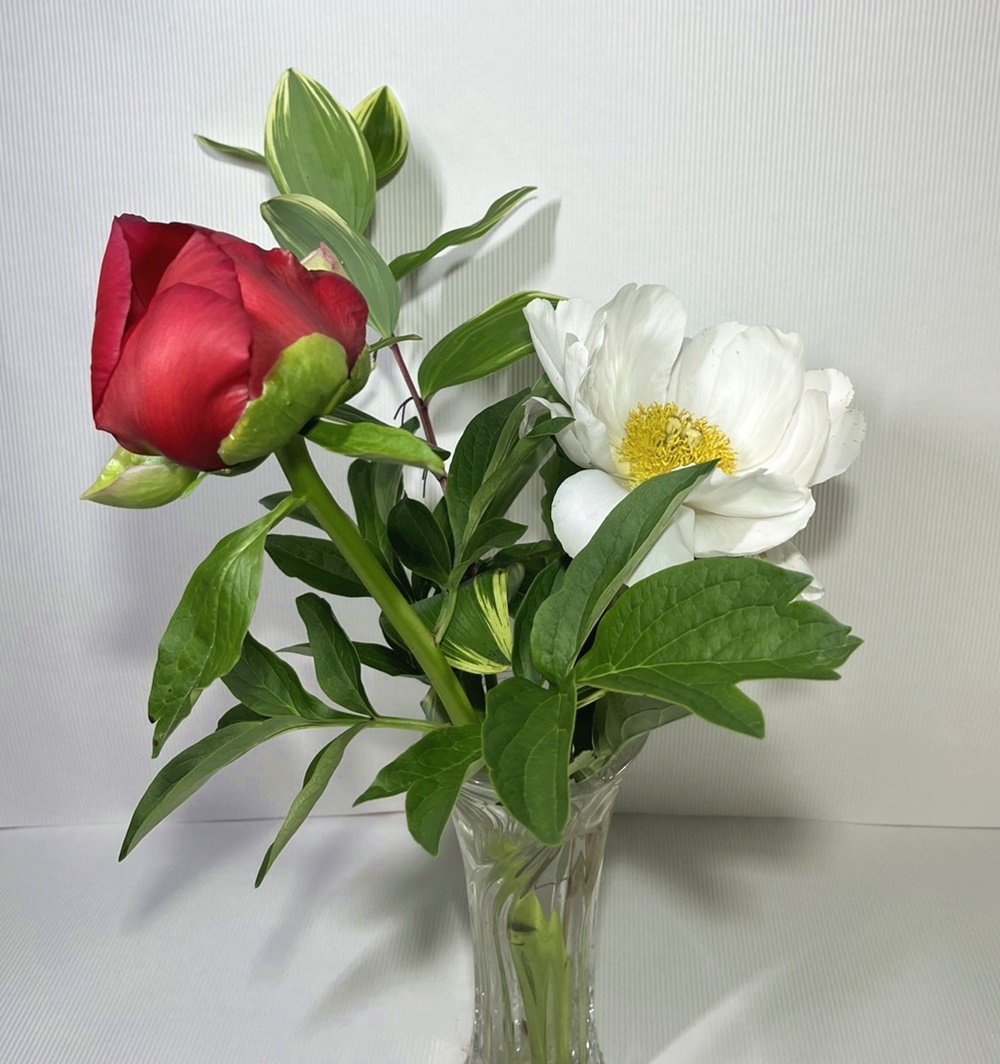 花瓶に花を生けてある写真